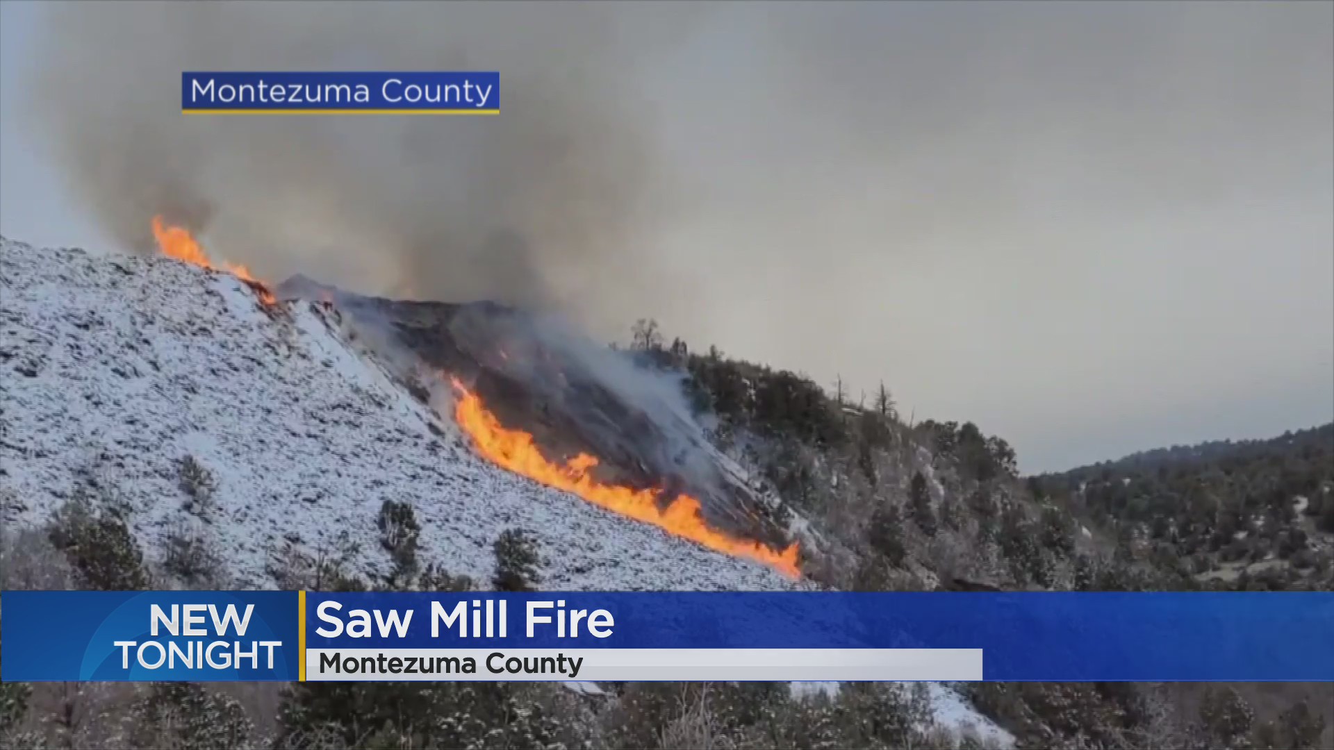 Горящий мост. Сон сгорело дерево. Пожар на дачном участке. Черный билет аниме. И мы сгорели на земле.